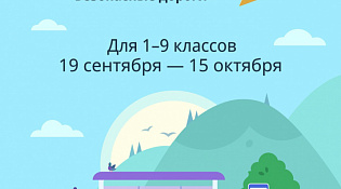 Костромских школьников приглашают к участию в онлайн-олимпиаде «Безопасные дороги»