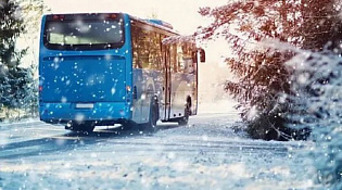 о выполнении автобусных рейсов до лыжной базы в д. Чижово  21 февраля 2026 года