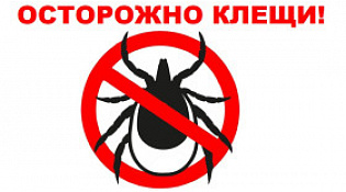 Осторожно клещи!